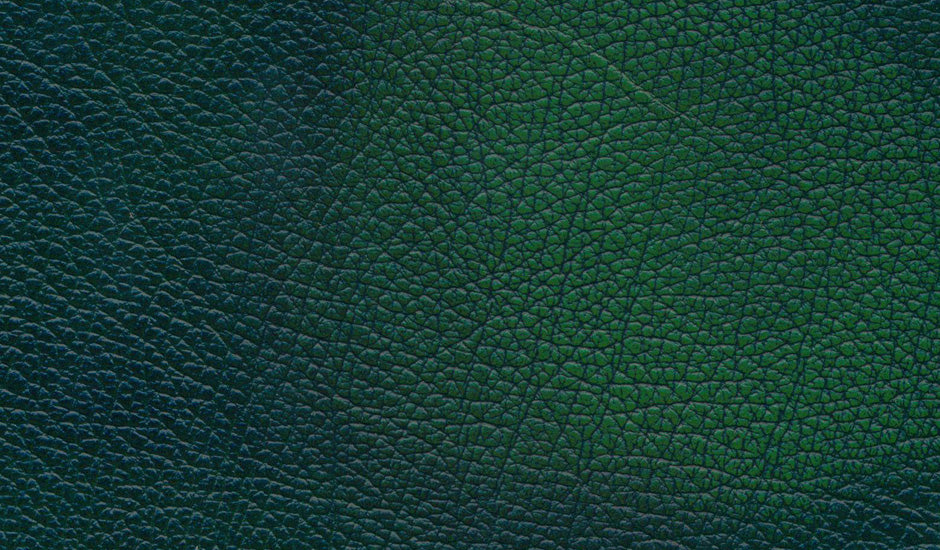 Antique Green Leather Swatch Sample